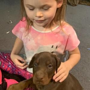 Meet your Posher, Jason